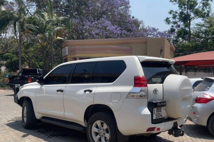 Toyota Prado